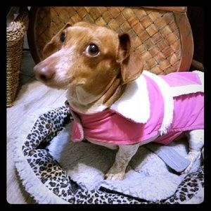 My baby, Bella Dona❤ (Not for Sale)